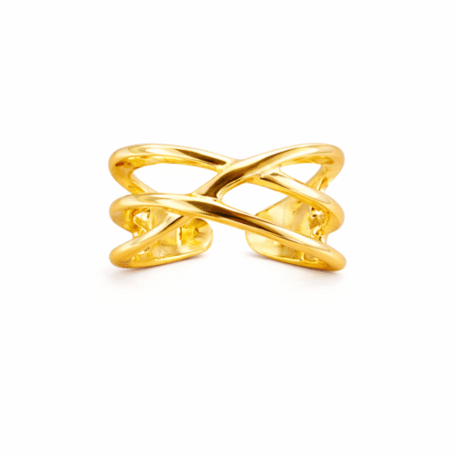 Anel Modelo 2 X Regulável B.Ouro