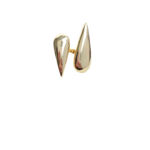 Anel Modelo 2 Gotas Longo Liso B.Ouro